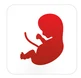 icon3