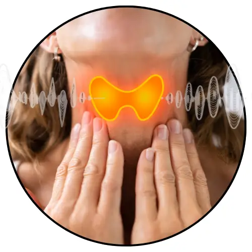 דף נחיתה דר נעמי רבינוביץ