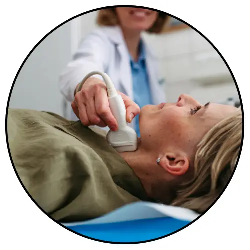 דף נחיתה דר נעמי רבינוביץ