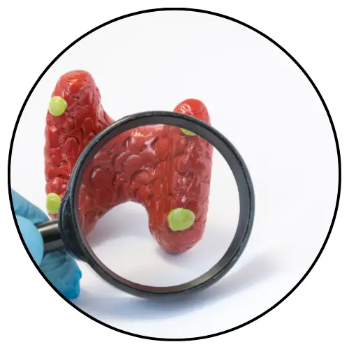 דף נחיתה דר נעמי רבינוביץ