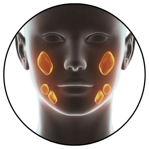 דף נחיתה דר נעמי רבינוביץ