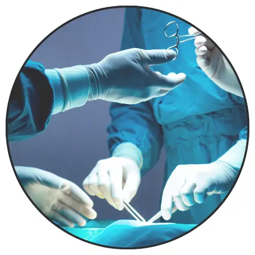 דף נחיתה דר נעמי רבינוביץ