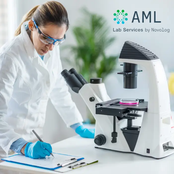 AML-lm-4
